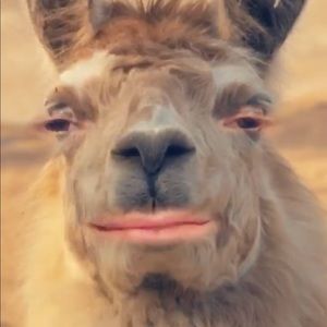 Meet your Posher, Stephen